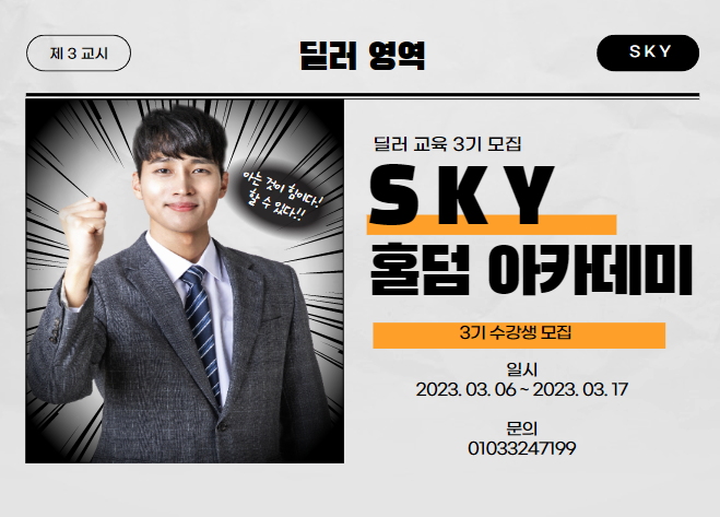 스카이홀덤 이미지