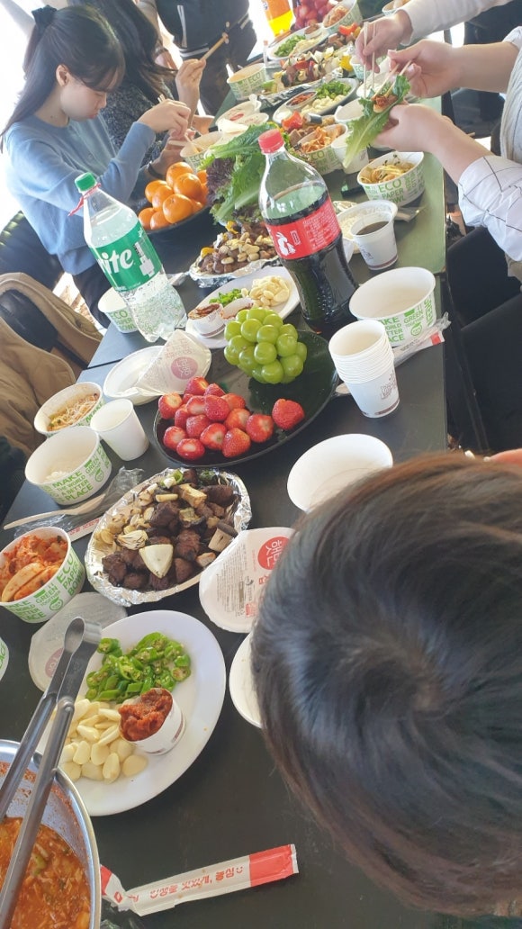 트리팜 이미지