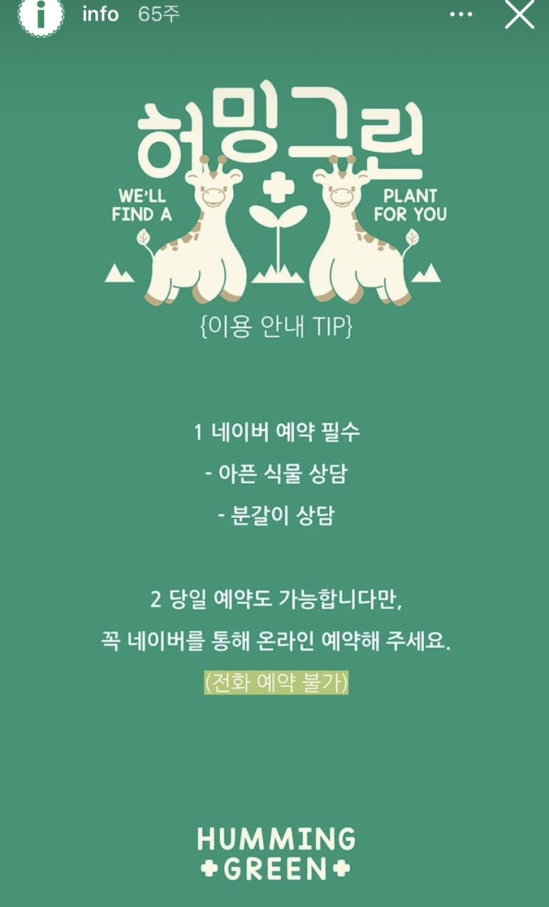 허밍그린 이미지