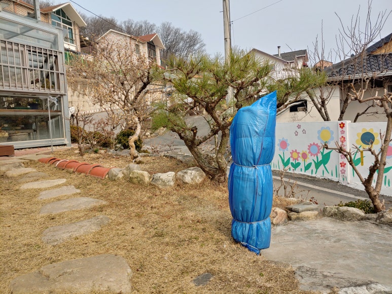 늘하랑 이미지