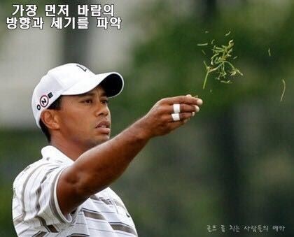 봉담골 이미지