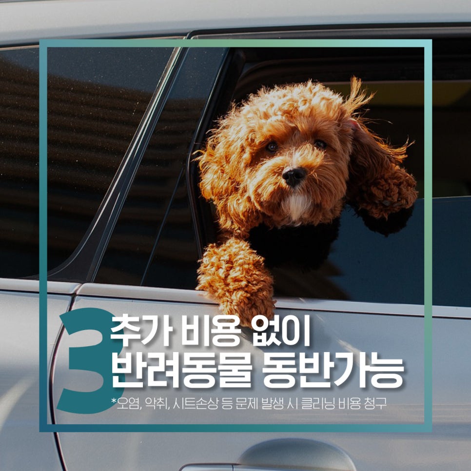 케이지렌터카 이미지