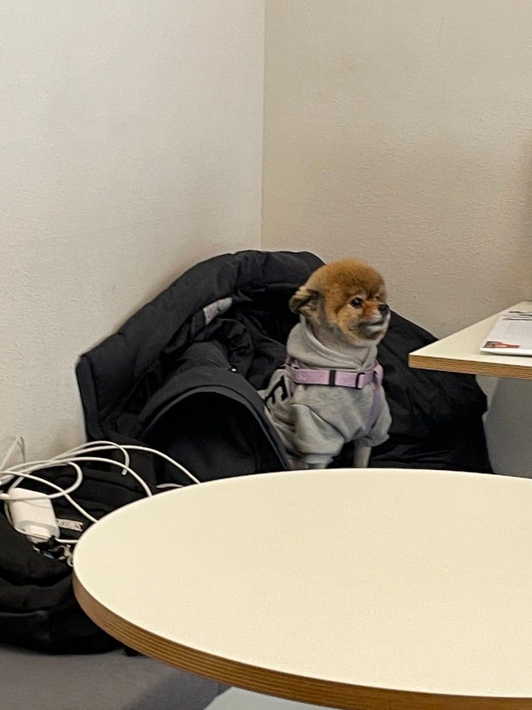 오알카페 이미지