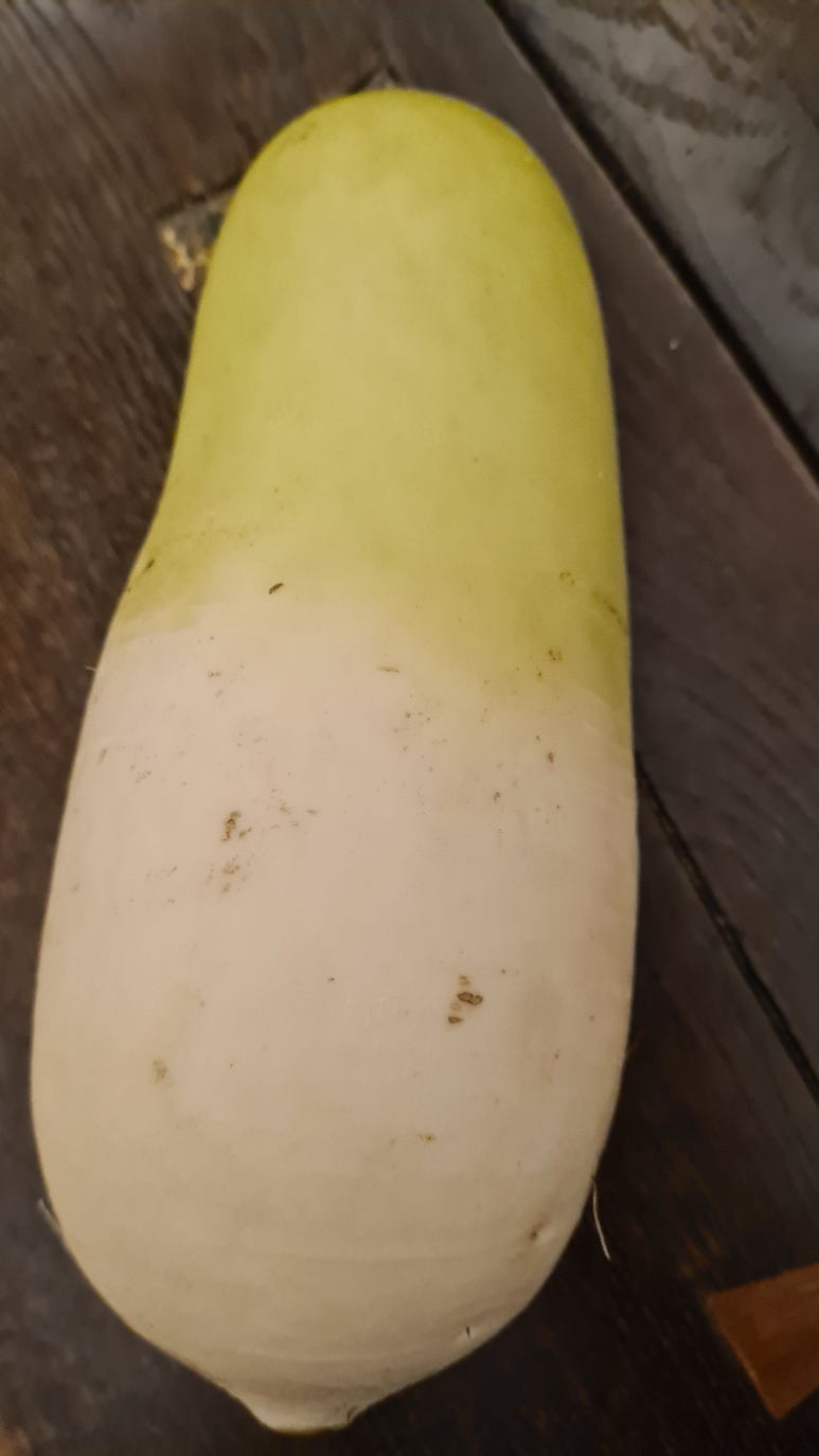 (주)원마트 이미지