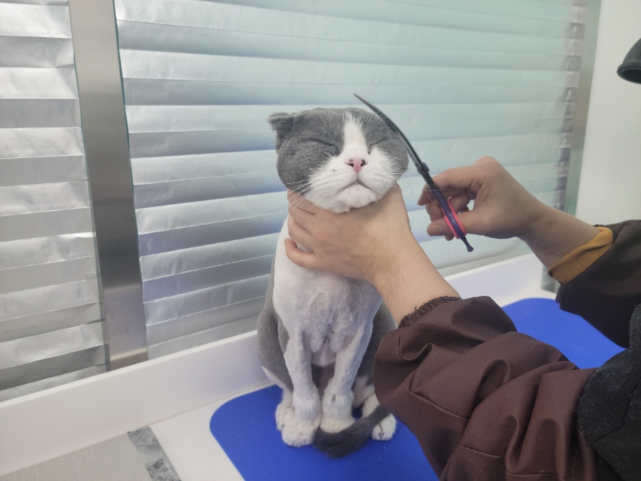 미용천하 이미지
