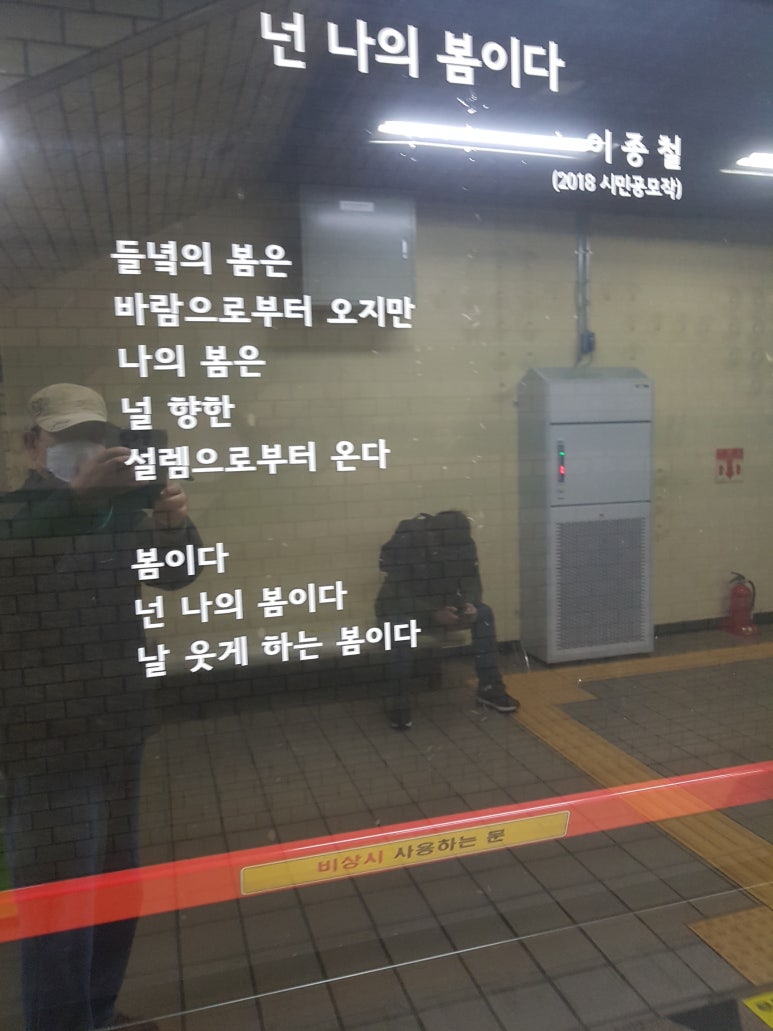 넌나의봄이다 이미지