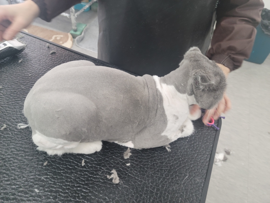 미용천하 이미지