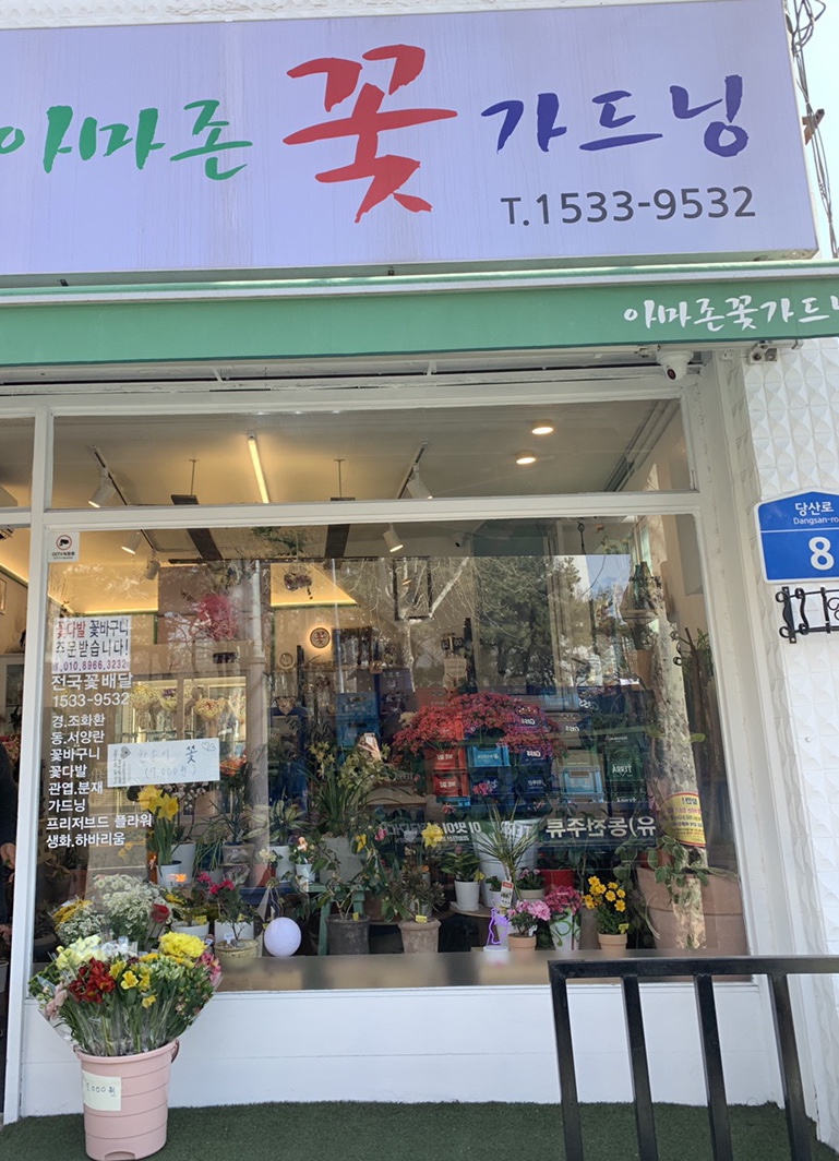아마존꽃가드닝 이미지