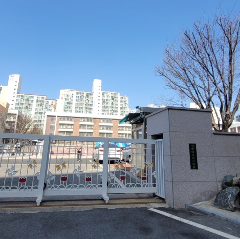 태릉초등학교 이미지