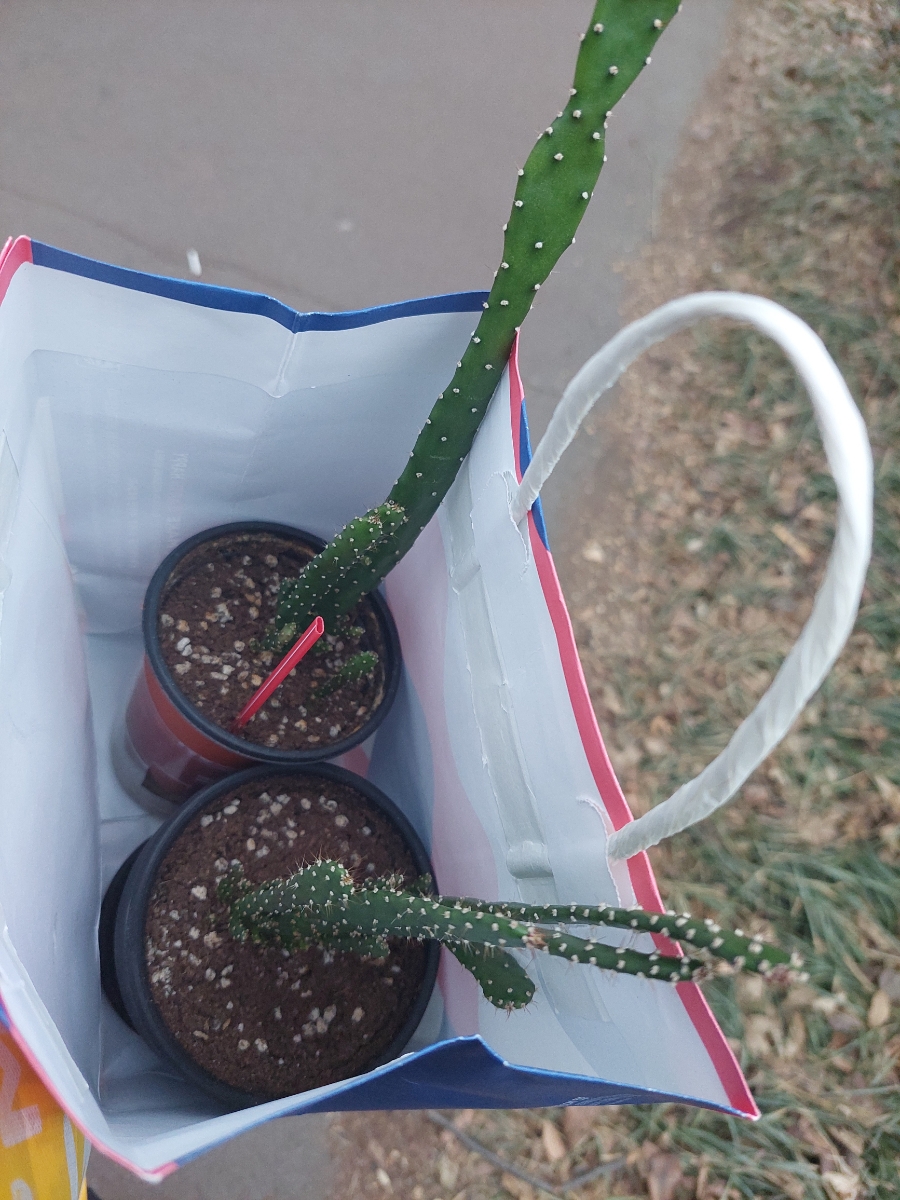 무지개옷수선 이미지
