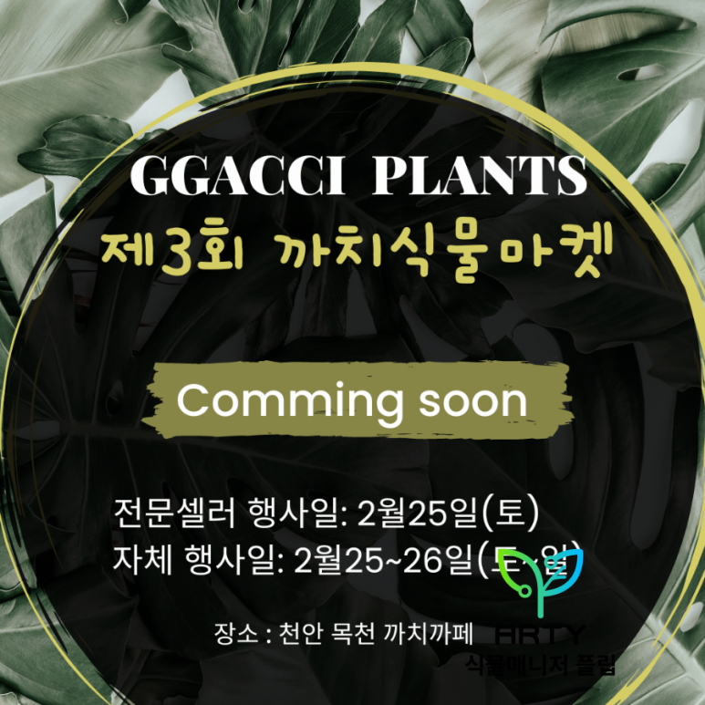 담은제주농업회사법인주식회사 이미지