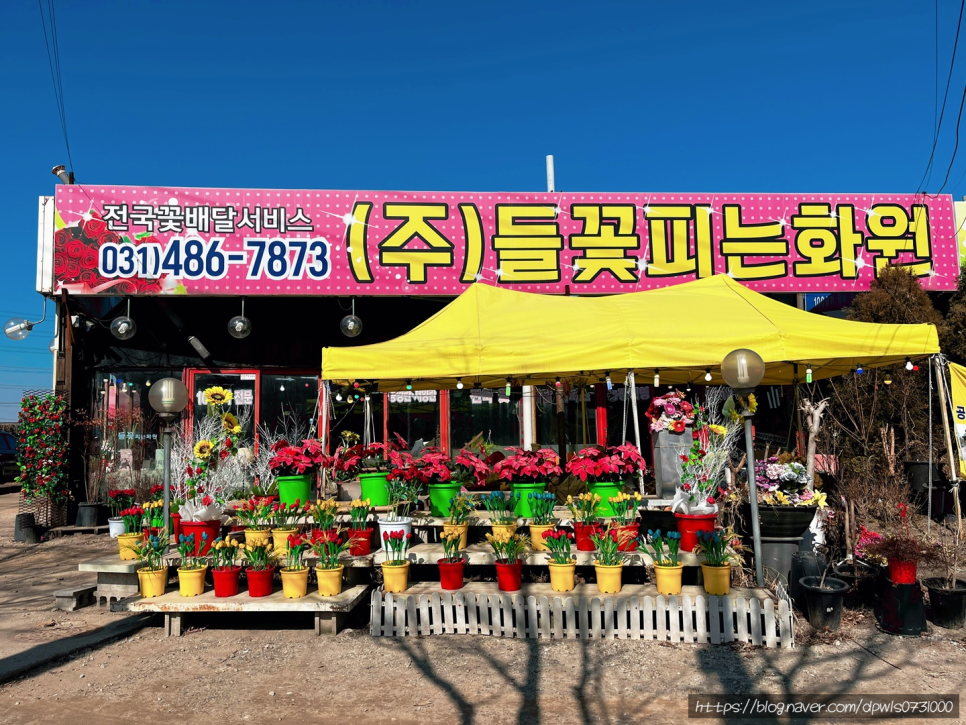 들꽃피는화원 이미지