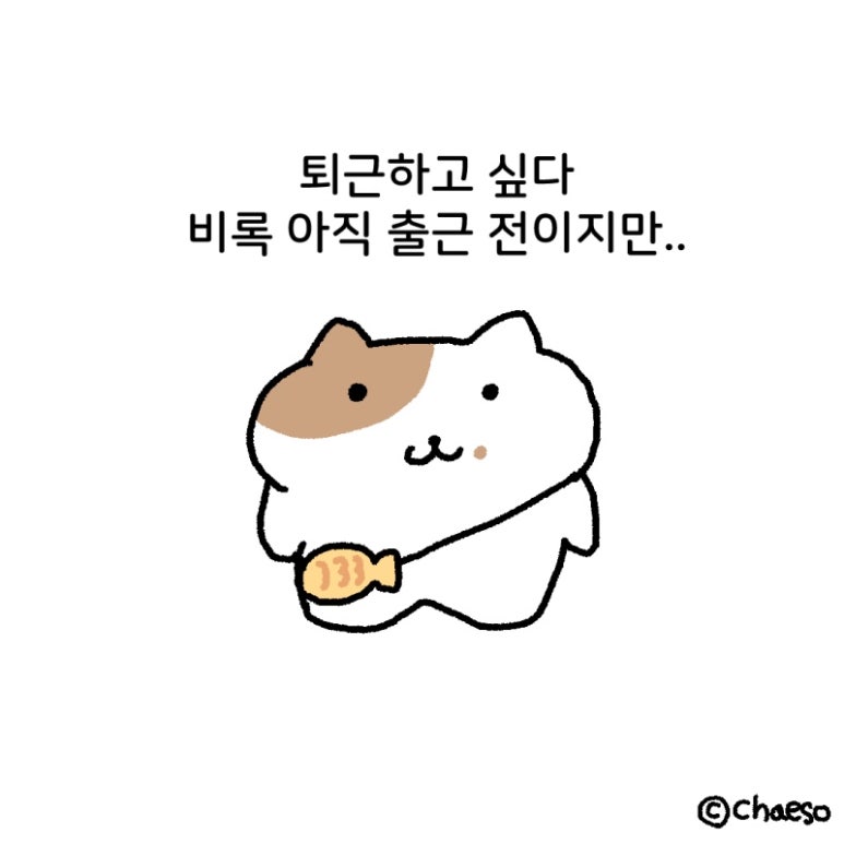 초콜릿노래연습장 이미지