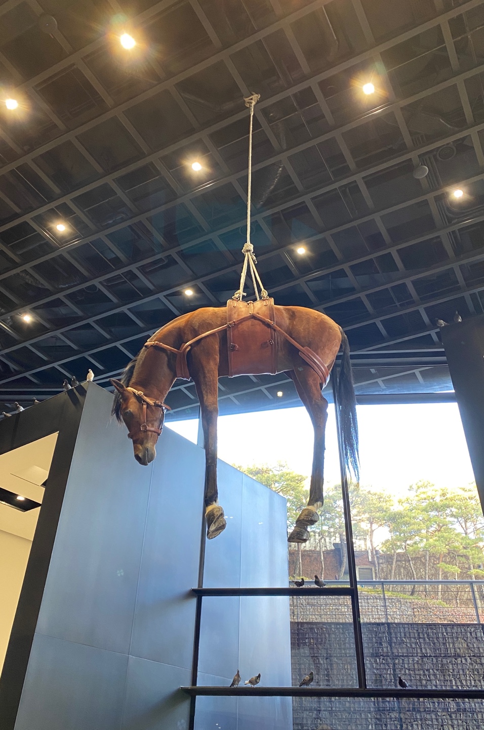 전진문화사 이미지