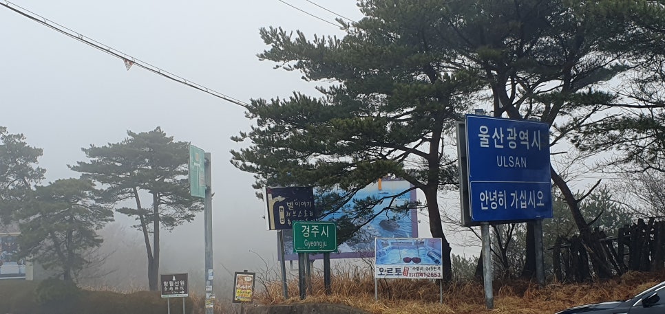 관문성 이미지