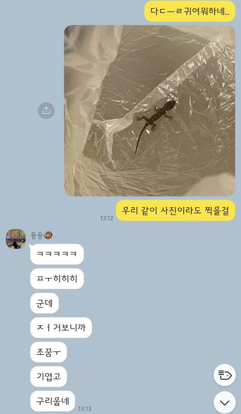 부림장갑 이미지