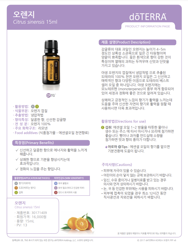 도도테라피 이미지