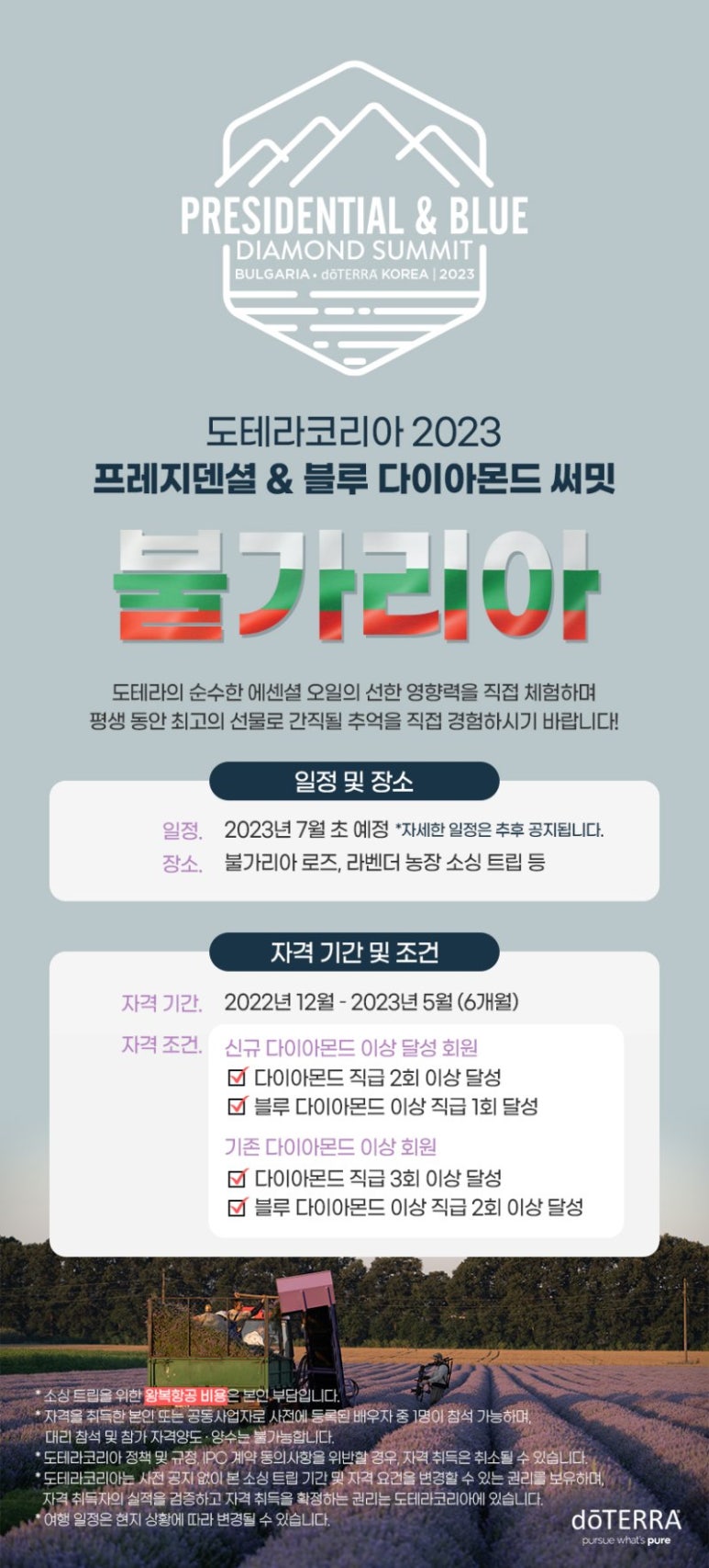 도도테라피 이미지