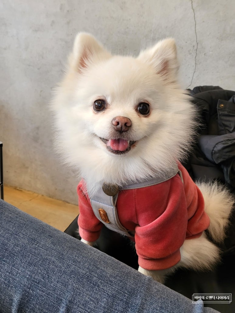 브루잉라운지93 이미지