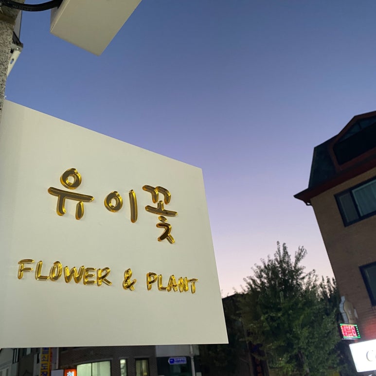 유이꽃 이미지