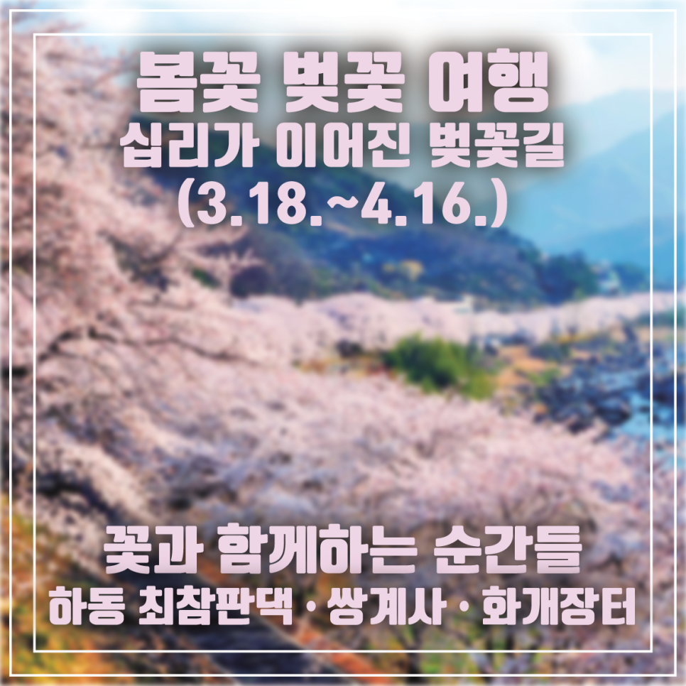 주원항공여행사 이미지