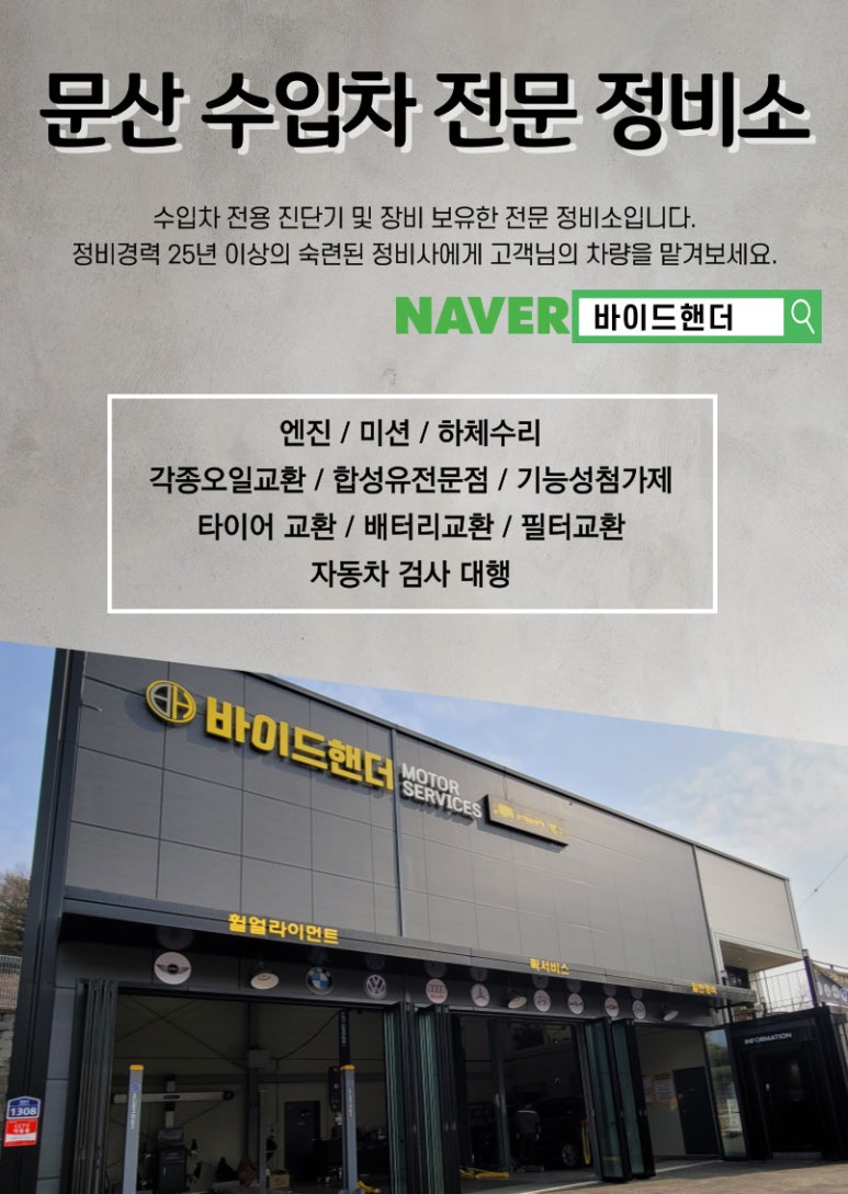 바이드핸더 이미지
