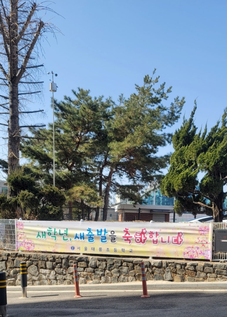 태릉초등학교 이미지