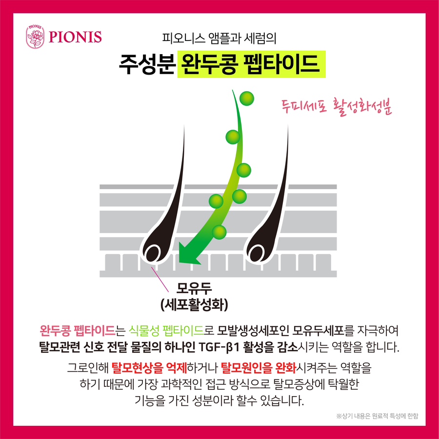 피오케이 이미지