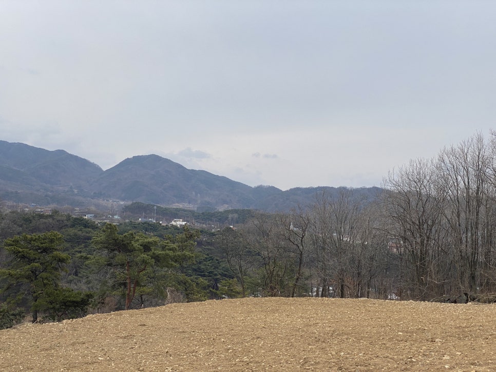 홍차가게안단테 이미지