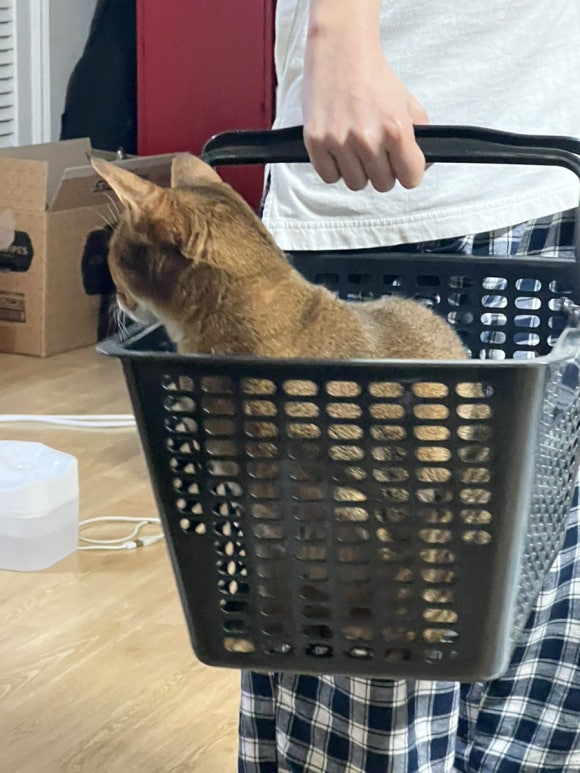 광인네 이미지