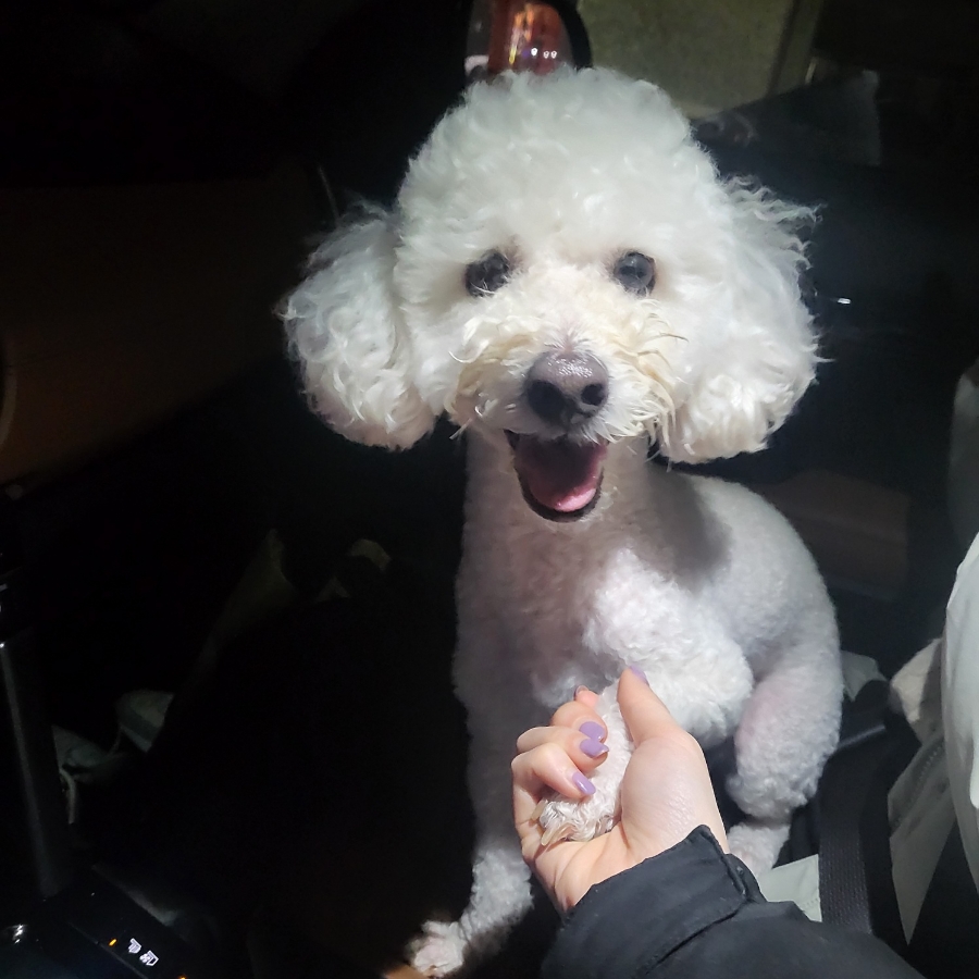 포크마운틴 이미지