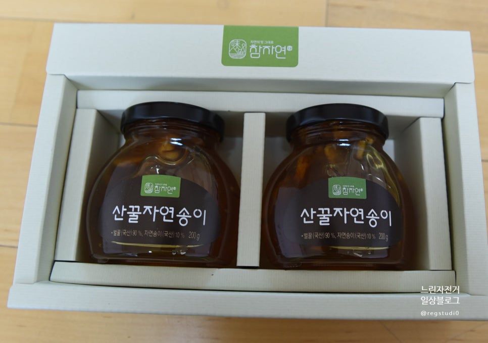 법인자연 이미지