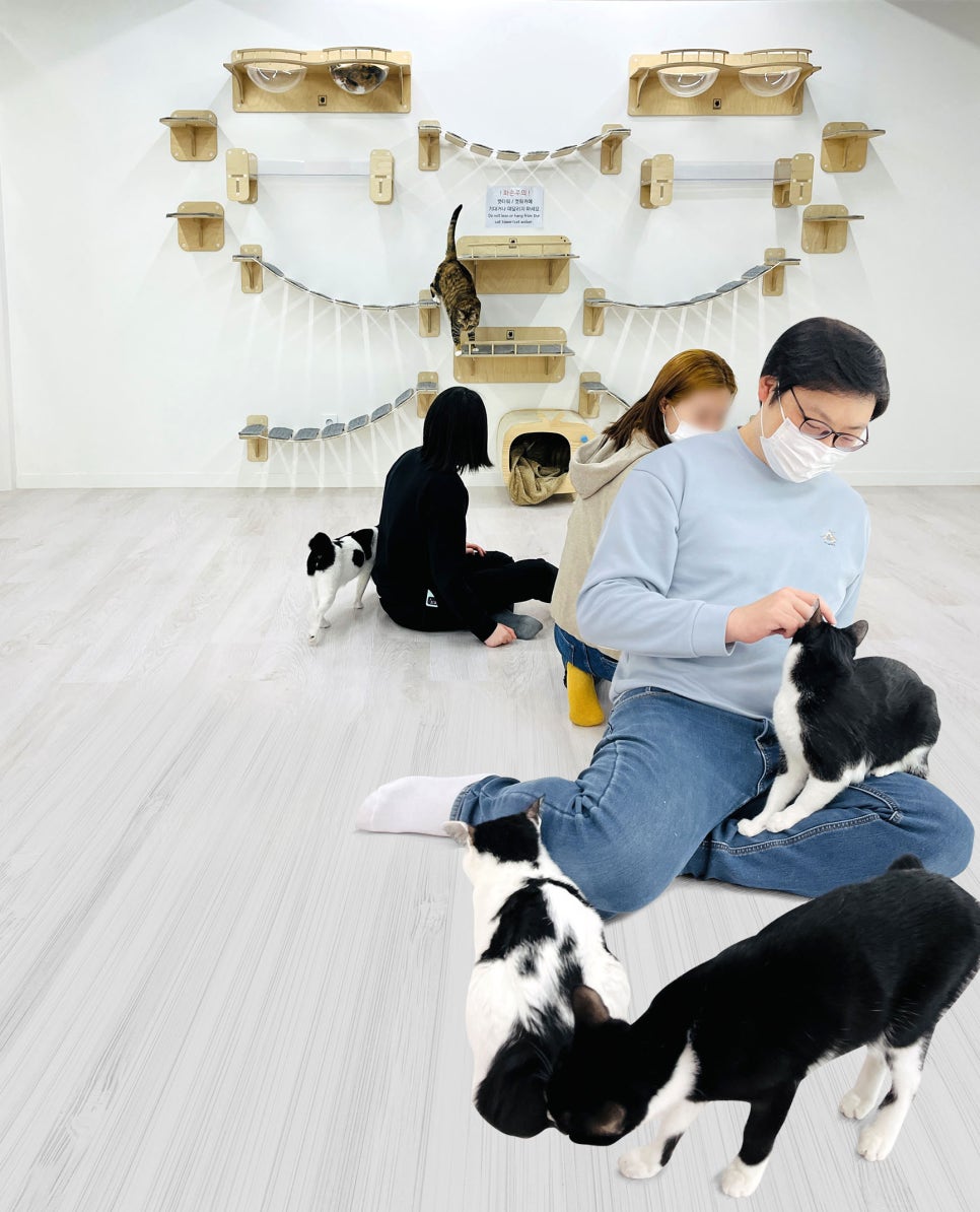 (주)더울림 이미지