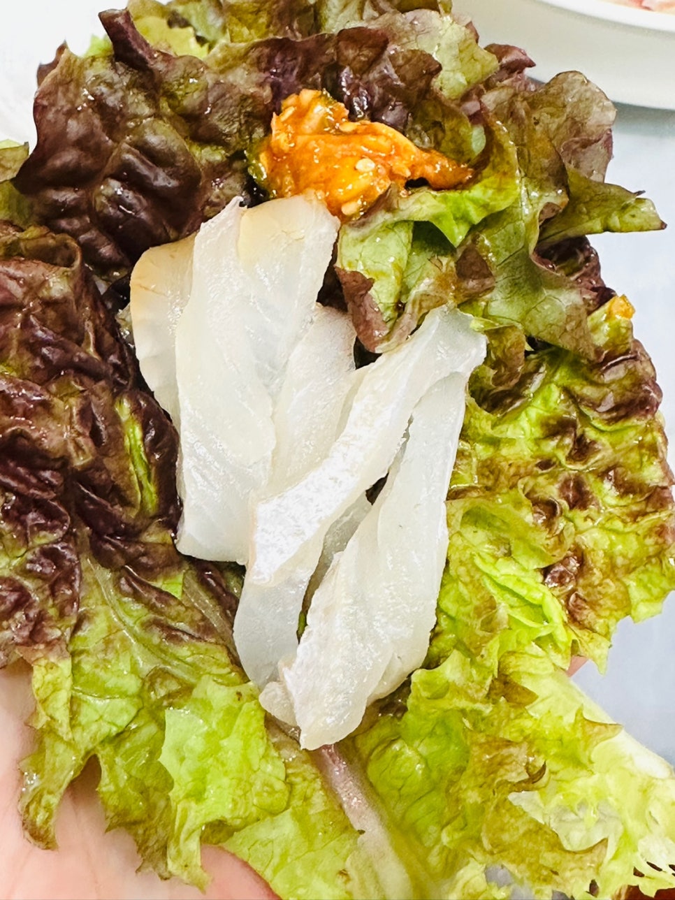 가덕도바다장어 이미지