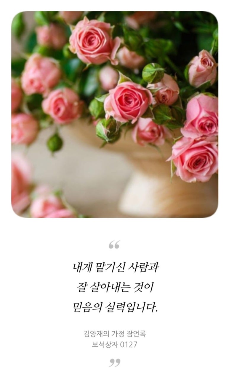고흥댁 이미지
