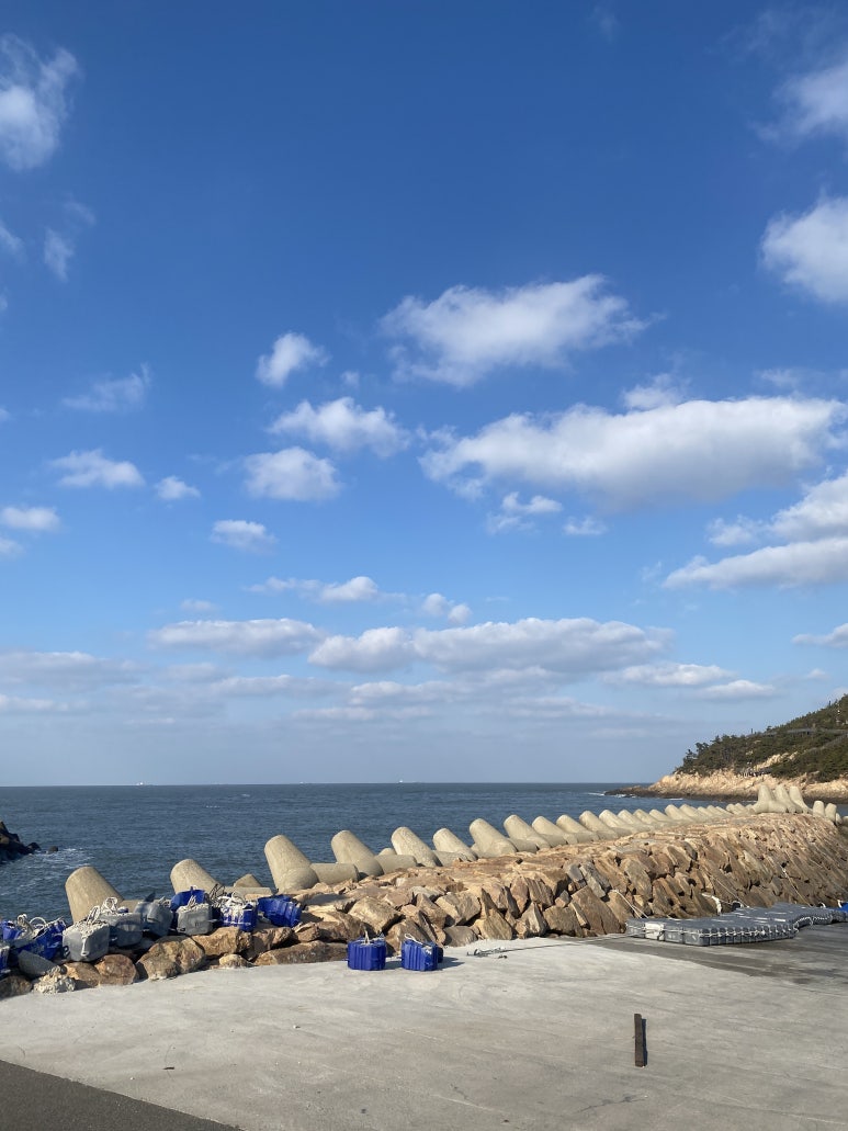 한국해양소년단전북연맹 이미지