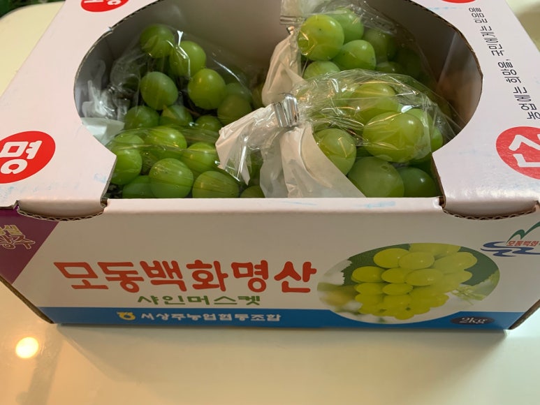 백화협동조합 이미지