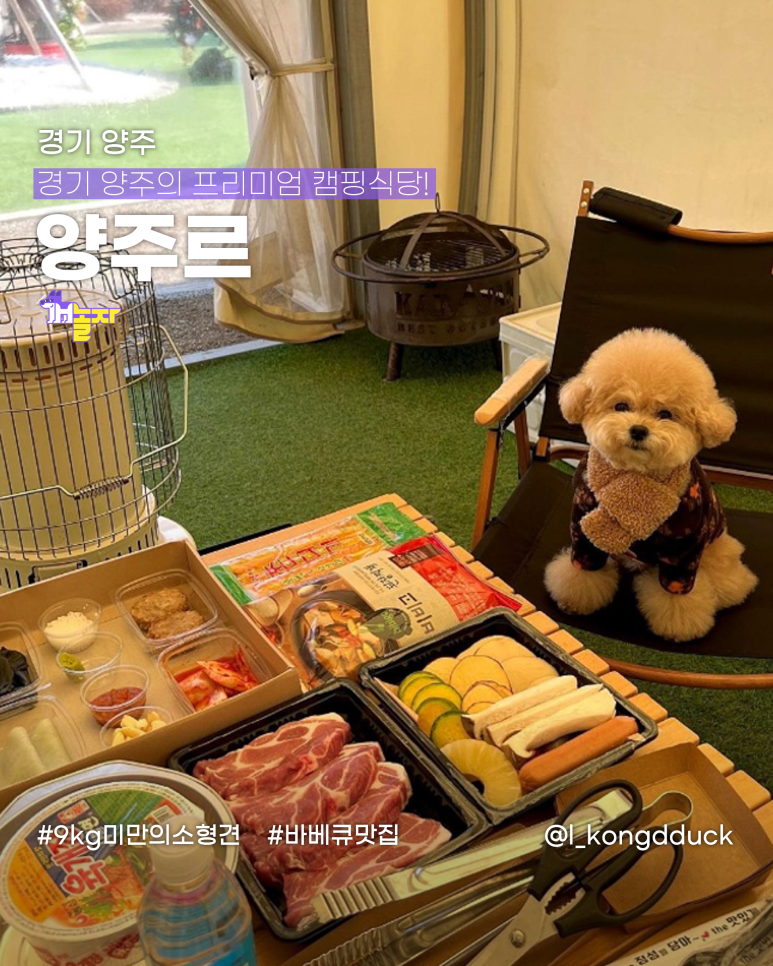 양주르yangjour 이미지