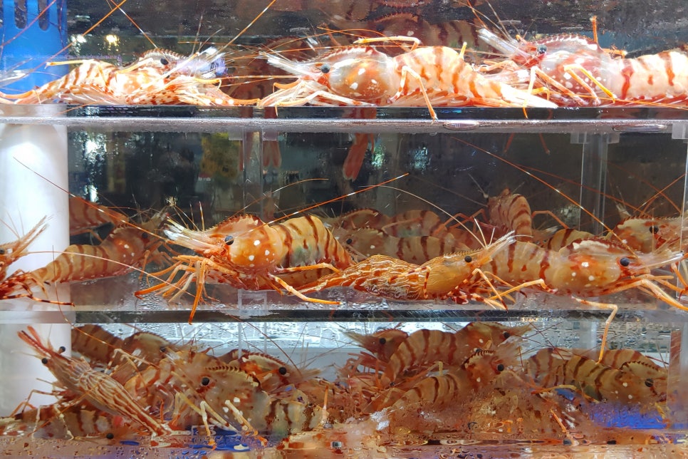 수산명가한창점 이미지