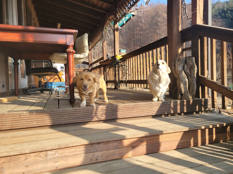 별장민박 이미지