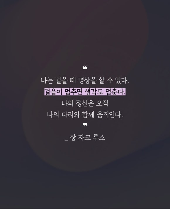 인블리 이미지