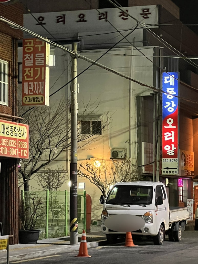 대동강오리알 이미지