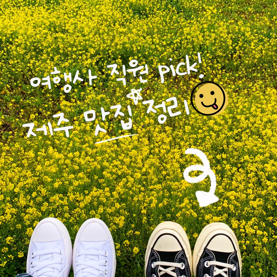당나귀 여행사 이미지