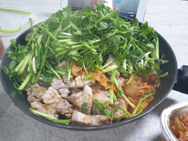 코보냉삼 이미지