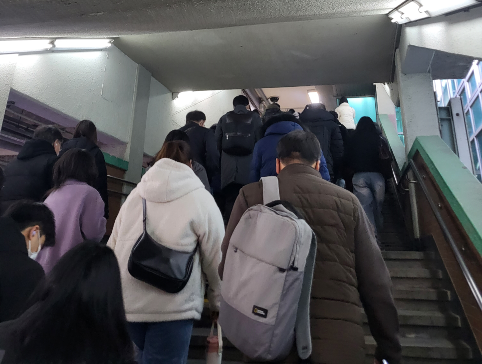 바이올푸드글로벌(주) 이미지