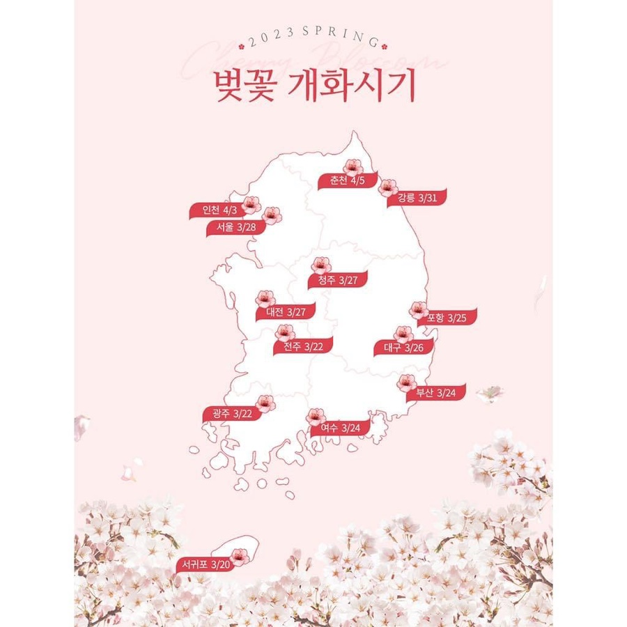 개화막창 이미지