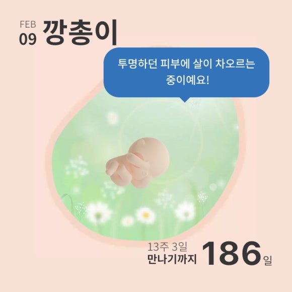 60계세종 이미지