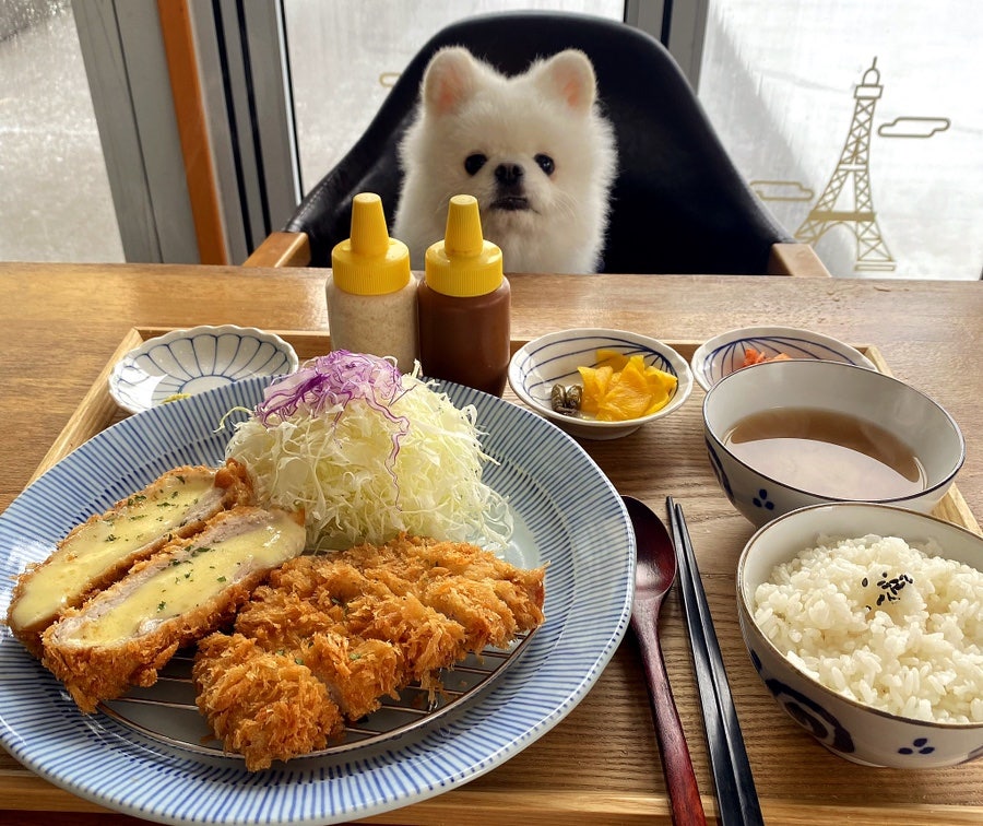 술당포 이미지