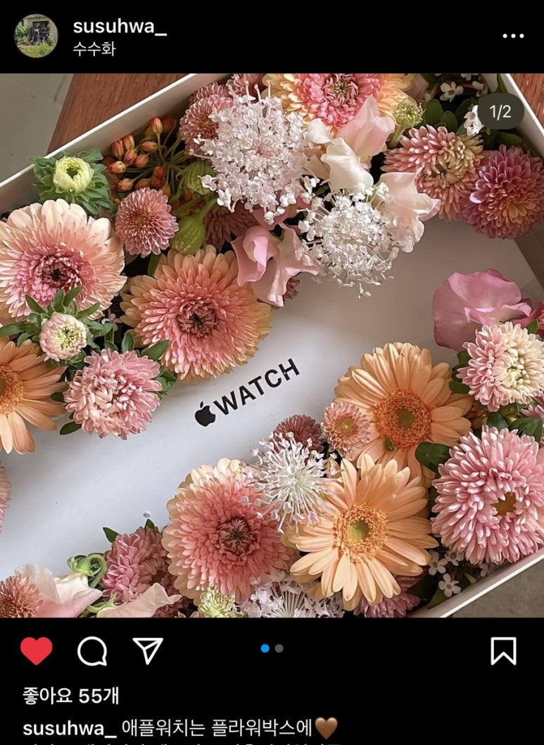수수화 이미지