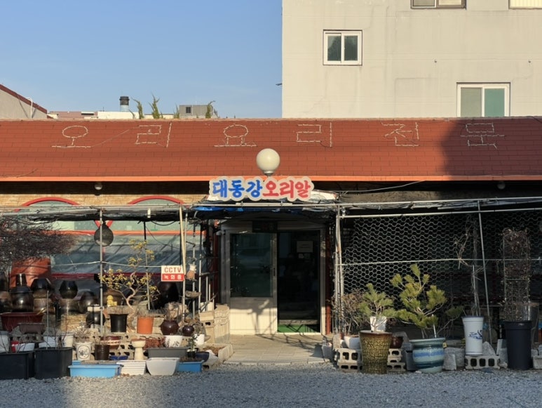 대동강오리알 이미지